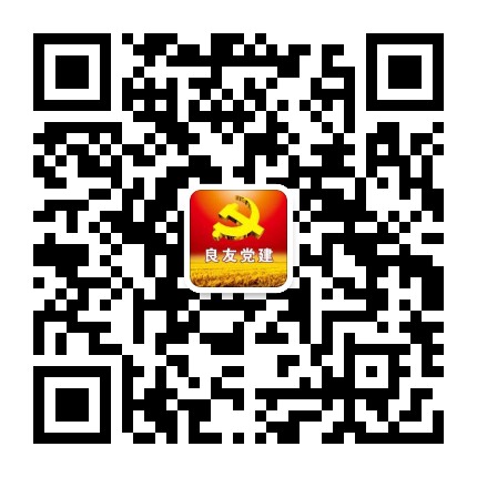 良友集团党建