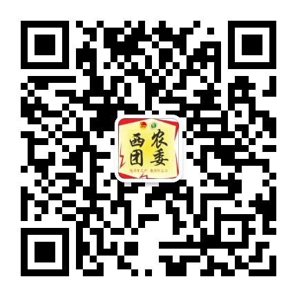 西农团委
