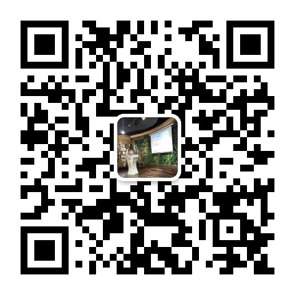 技術(shù)辯護(hù)