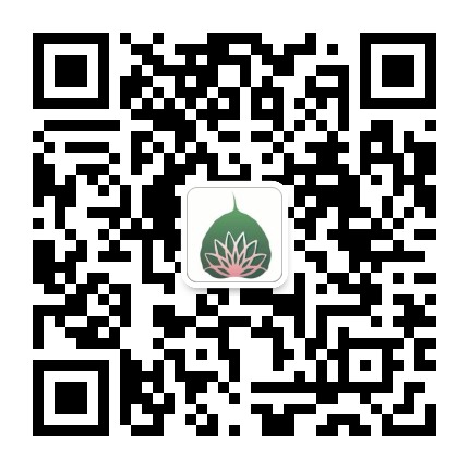 徐小黄正念微观
