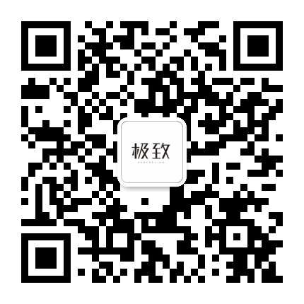 极致online