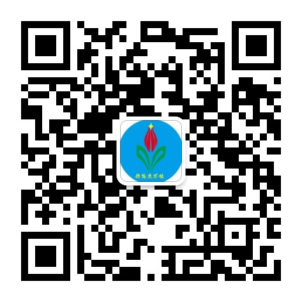 作家文学社