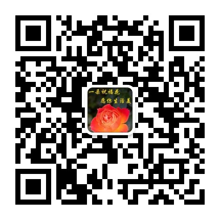 晨星早安祝福