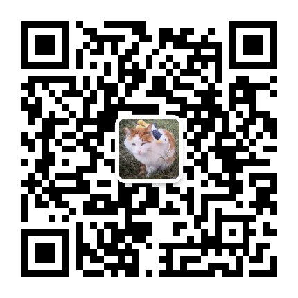 纯纯吸猫 快乐分享