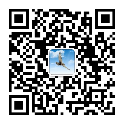 比尔大叔