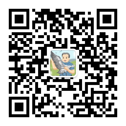 老年正能量閱讀