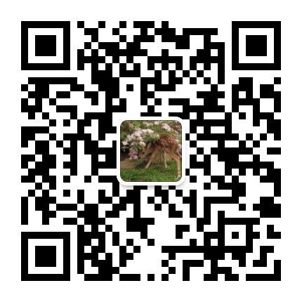 Penny的四季囈語