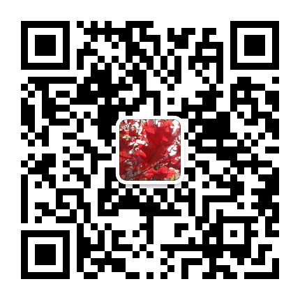 茂园公众号二维码