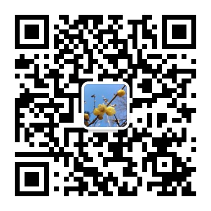 莎如茵空间