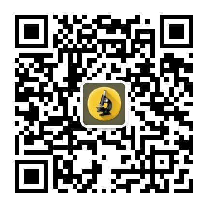 粪便检验百家争鸣
