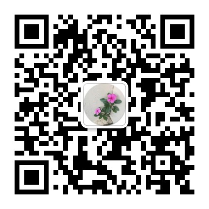 一统浆糊