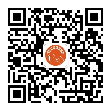 镇江天使之家流浪救助