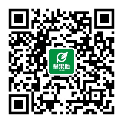 攀果地仓储式会员店