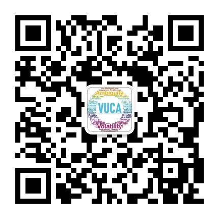VUCA职业咨询
