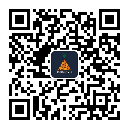 鳳梨在行動(dòng)