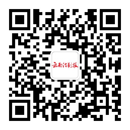 云南法制报