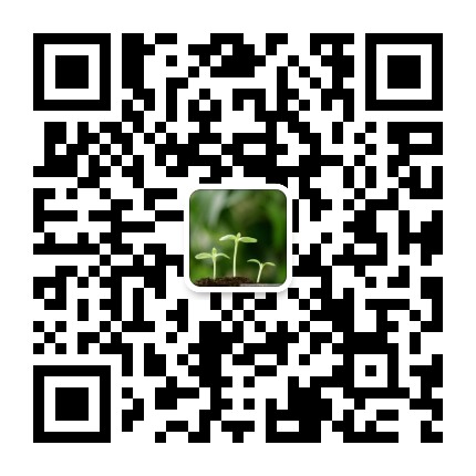 初中英语教与学