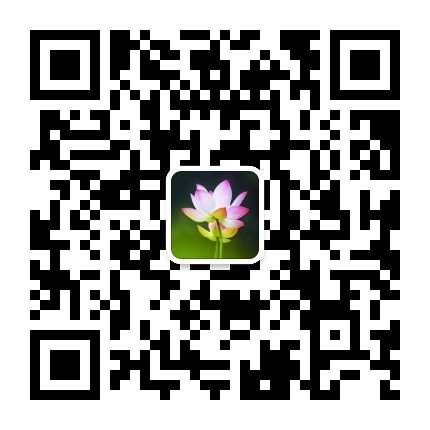 顿入清凉