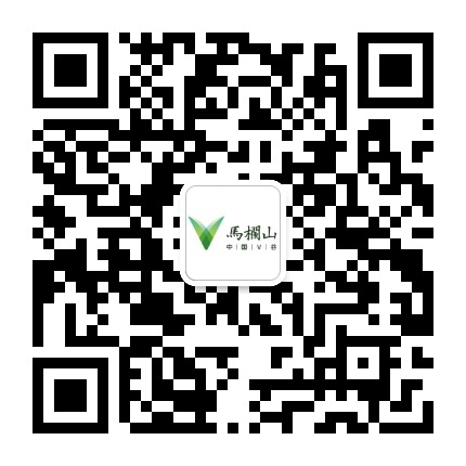 中国V谷一马栏山