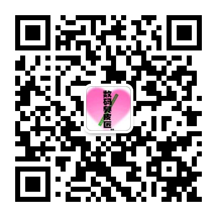 数码臭皮匠
