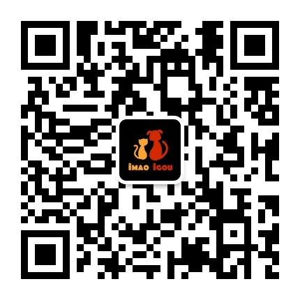 阿猫阿狗 iMAOiGOU