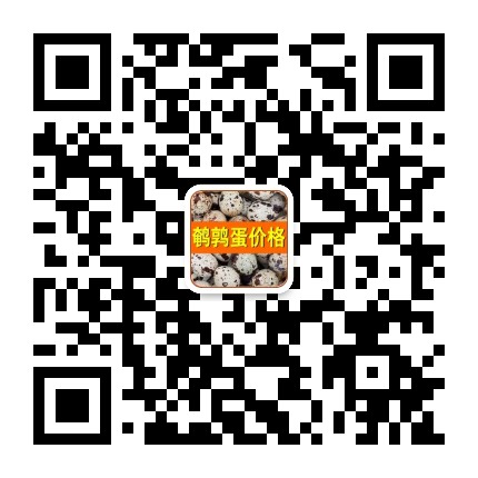 鵪鶉蛋價格