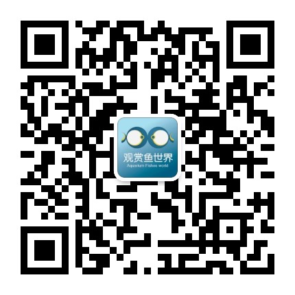 观赏鱼世界