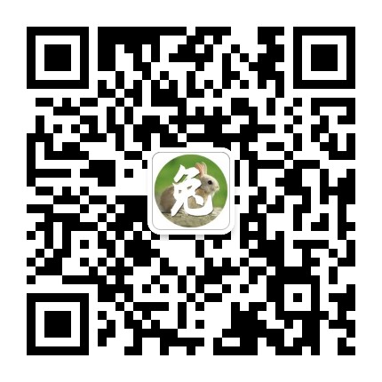 生肖兔運勢大全