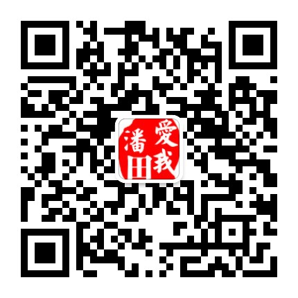 爱我潘田