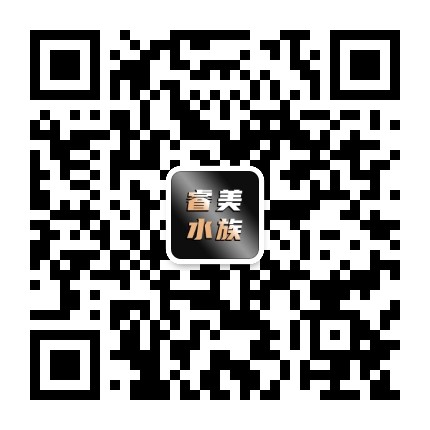 成都睿美水族用品