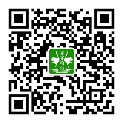 齊齊哈爾偶語者