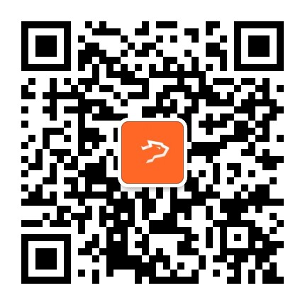 银豹宠物俱乐部