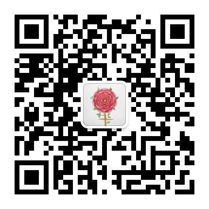 薔薇譯组