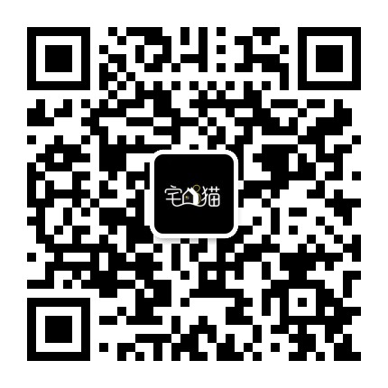 一只宅家千年的猫