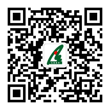 艾蓬教育