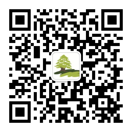 香柏树儿童肿瘤营养支持专项基金