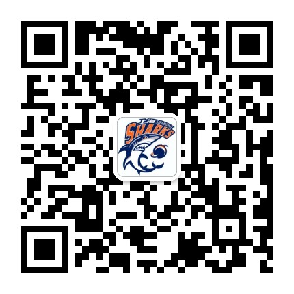 上海久事大鲨鱼