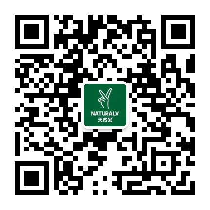 天然呆NATURALV