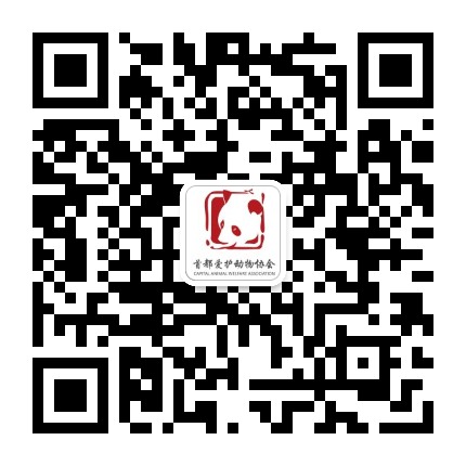 首都爱护动物协会CAWA