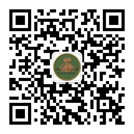 雅典娜布偶猫舍ATHENADOLLS