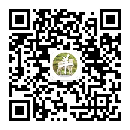 生肖羊運勢大全