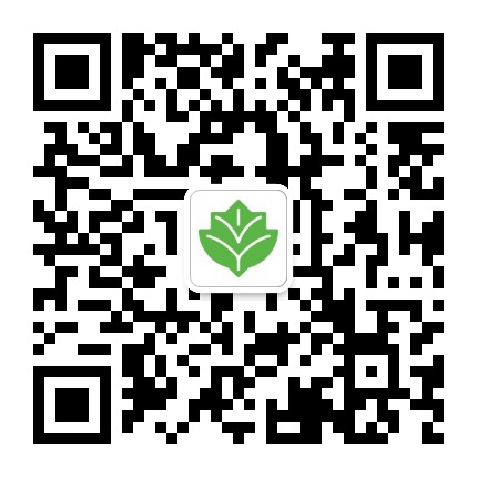 艾毅教育集团IvyEducationGroup