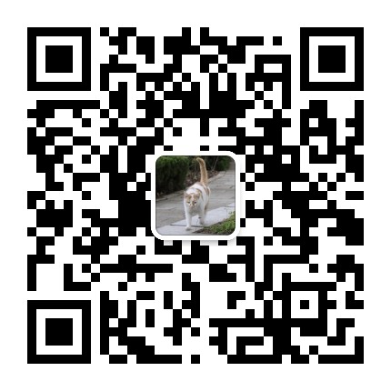 SHOU小流浪hou援会