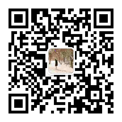 职业成长启示录