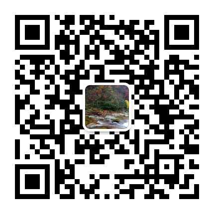 笑傲投资