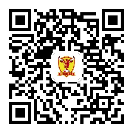 四川九牛足球俱乐部