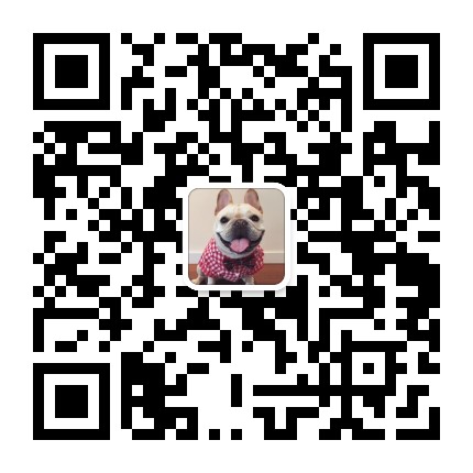 常州流浪动物救助