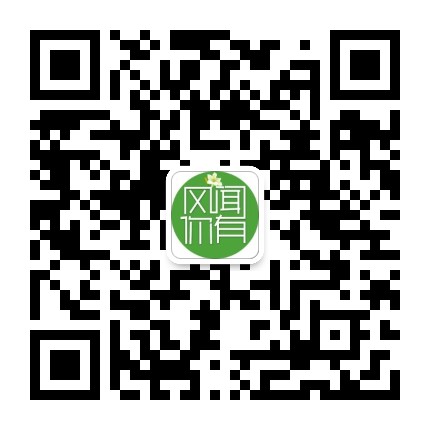 风闻有你