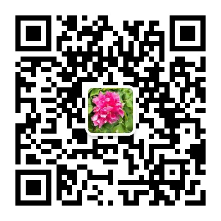 周教授的造價課