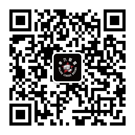 拳力争胜